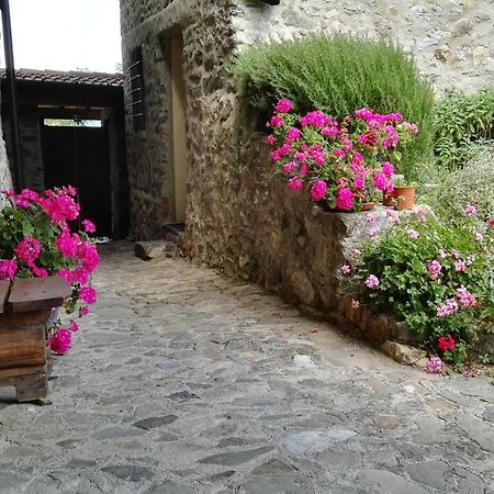 Villa La Costa Di Gavedo Exterior foto