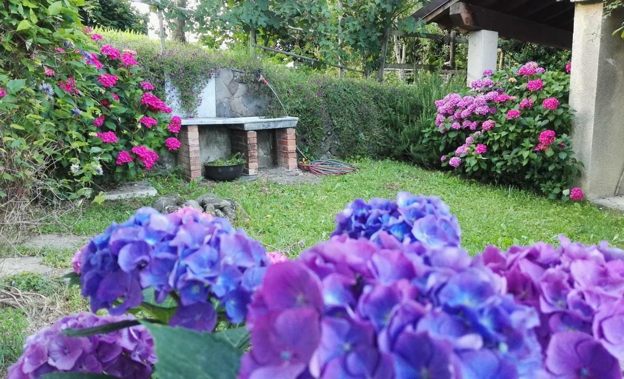 Villa La Costa Di Gavedo Exterior foto